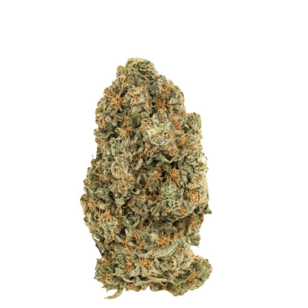 Social Choice! 15/1 GRO ASH Amnesia Haze