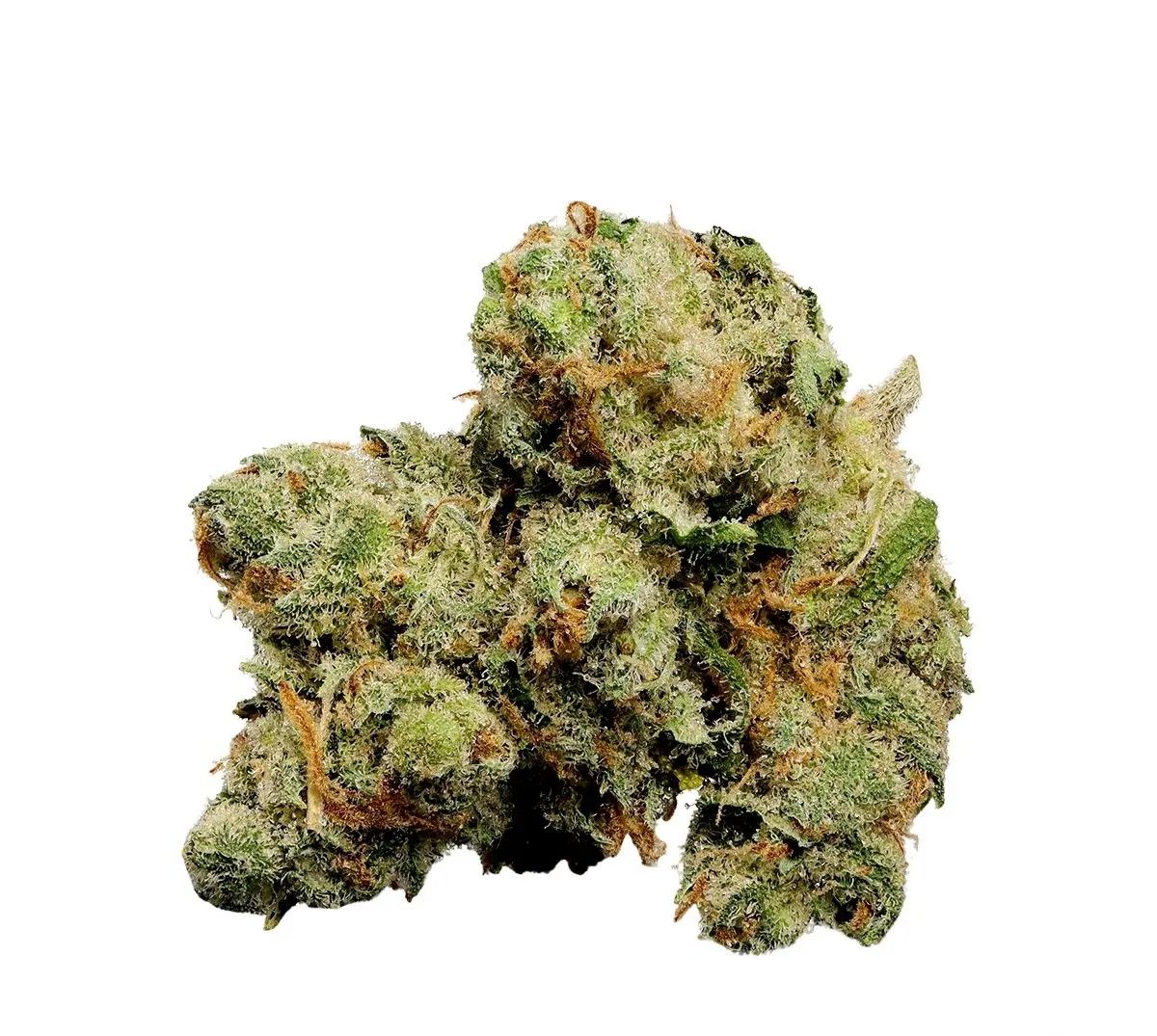tilray-thc-18-spotlight-porto-jack-herer.jpg Tilray THC 18 Spotlight Porto Jack Herer – Bild 1