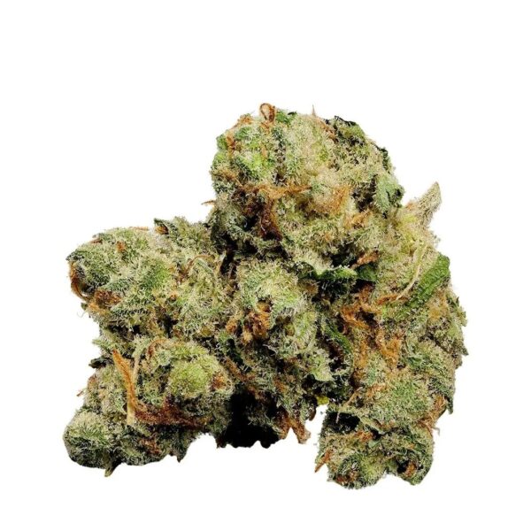 Tilray THC 22 Spotlight Porto Jack Herer