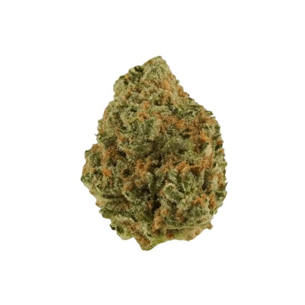 Tilray THC22 Spotlight Porto Biscuit Rntz I