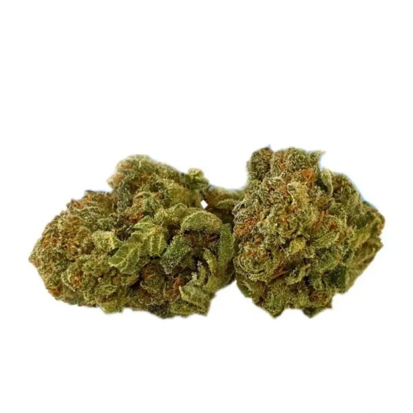 Tilray THC10:CBD10 Warlock No.2