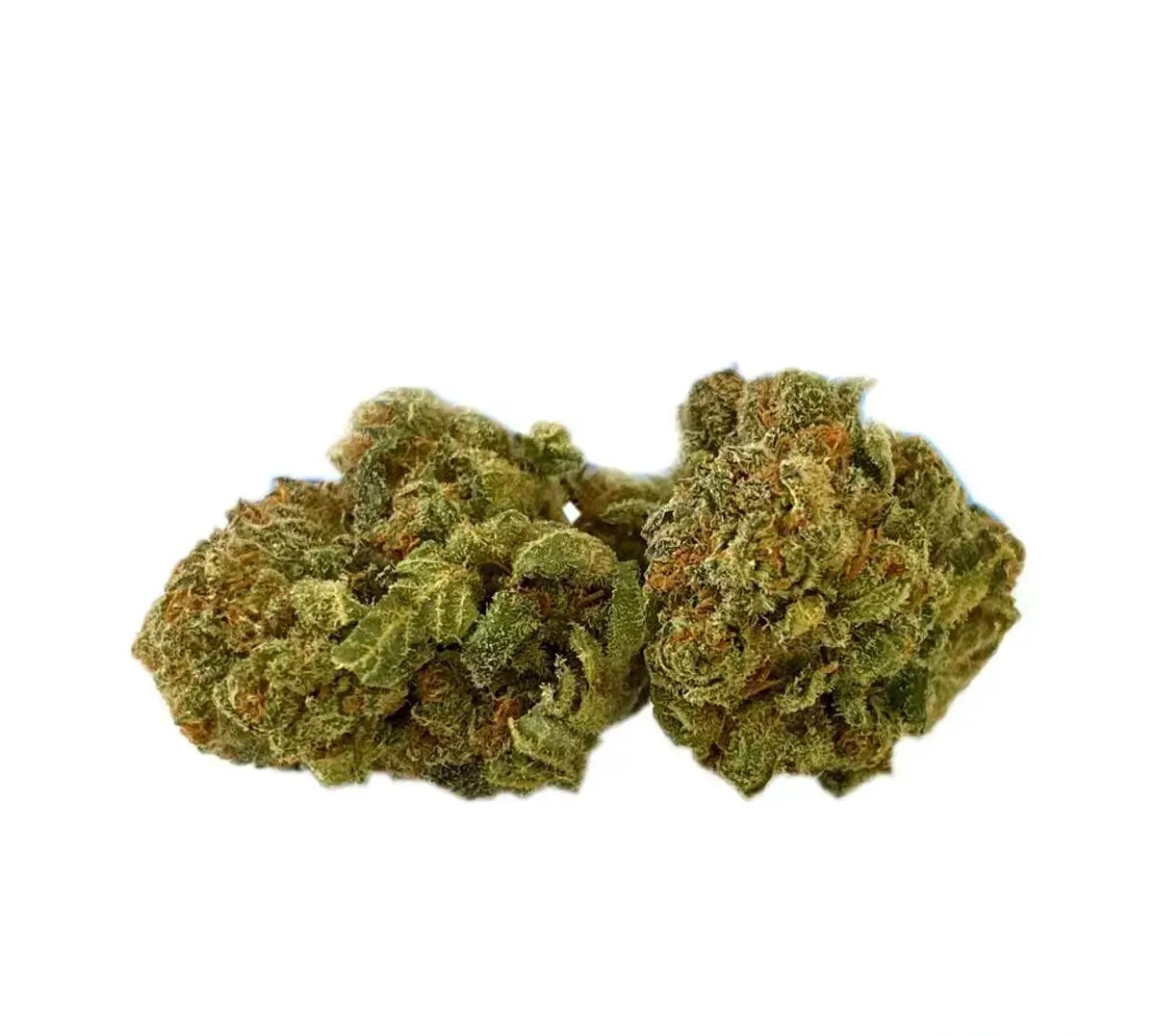 tilray-thc9cbd9-warlock-no-2.jpg Tilray THC10:CBD10 Warlock No.2 – Bild 1