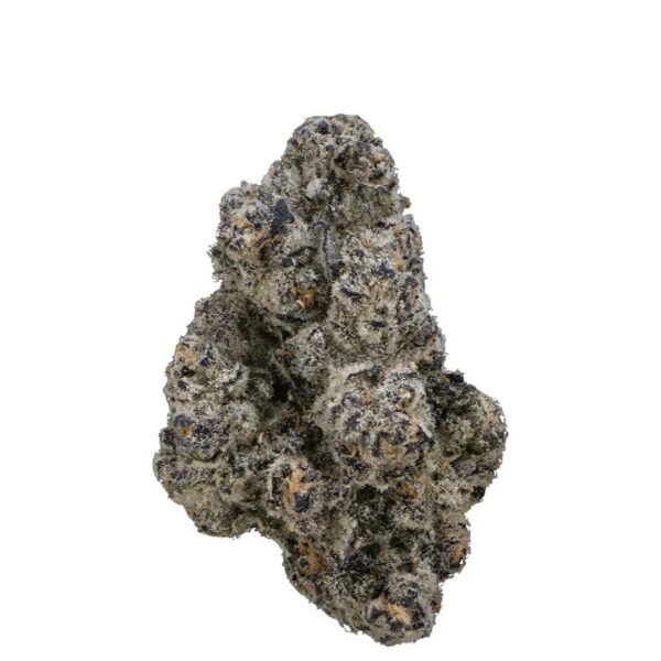 Vasco x Cipher BB 28/1 Blueberry Banana