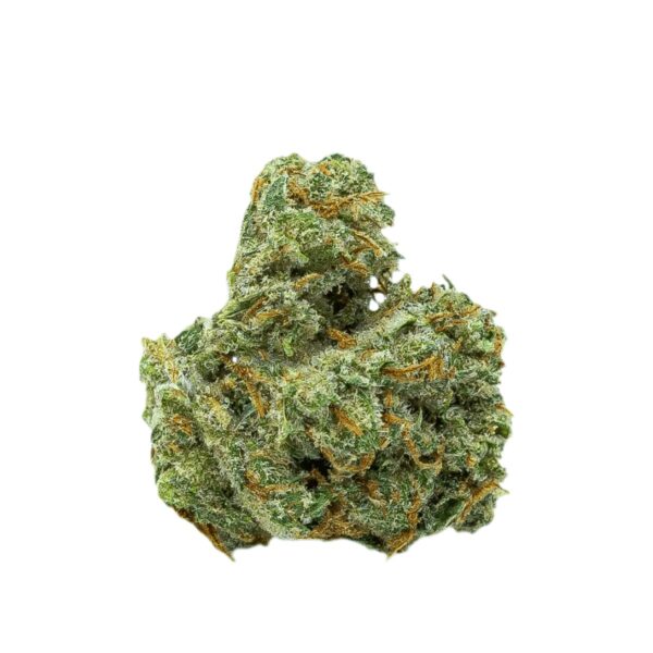 WTF 18/1 MIC SCD Sour Cherry Diesel