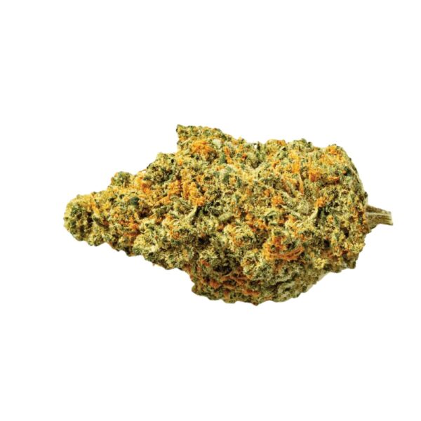 ZOIKS 22/1 ALM Alienmax