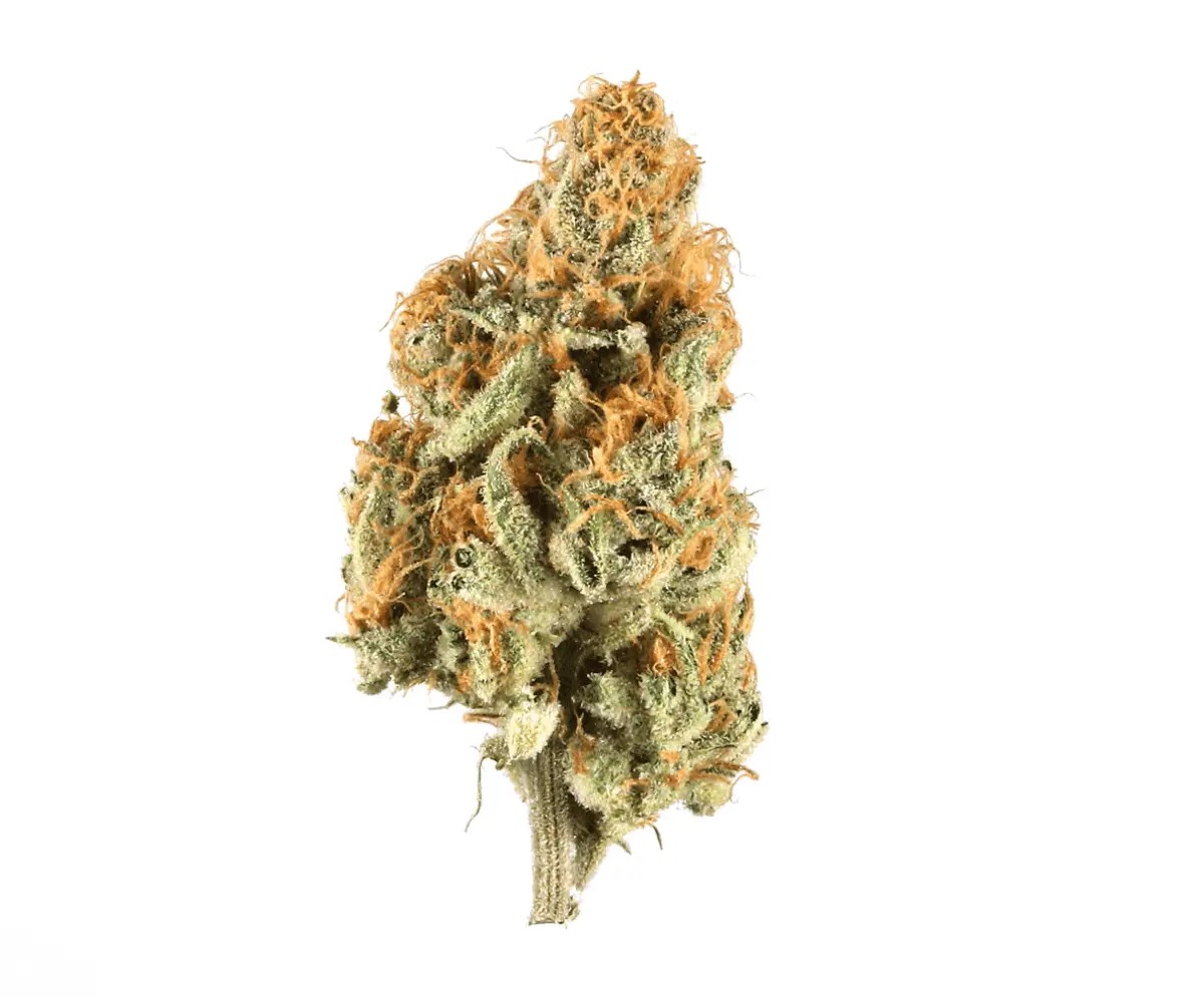 zoiks-31-1-lk.jpg ZOIKS 31/1 LK OG Lime Kush – Bild 1