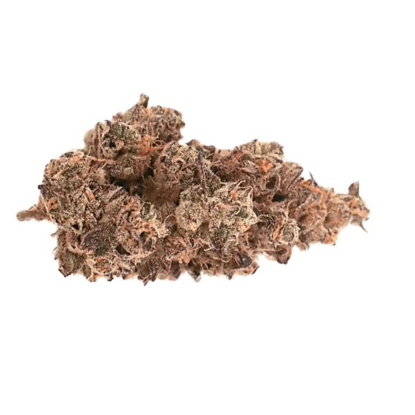 Pop Up No. 9 26/1 Pink Certz